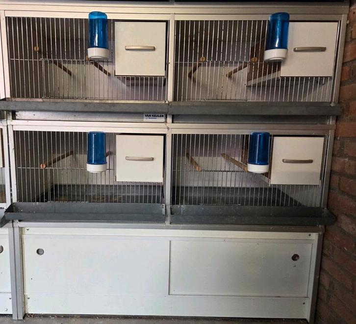 Broedkooien van Keulen kooien met onderkast, Dieren en Toebehoren, Vogels | Hokken en Kooien, Broedkooi of Kweekkooi, Kunststof