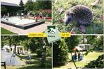 78303 Ees Drenthe 80 + camping de Zeven Heuveltjes Gelopen