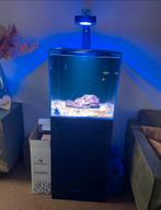 Bluemarine 125l met toebehoren zeequarium van 2023!, Dieren en Toebehoren, Vissen | Aquaria en Toebehoren, Ophalen, Zo goed als nieuw