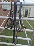 2 halsters Maat Full, Dieren en Toebehoren, Ophalen, Zo goed als nieuw, Overige soorten