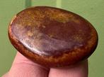 Versteend hout hansteen palmsteen mineralen 5, Ophalen of Verzenden, Mineraal