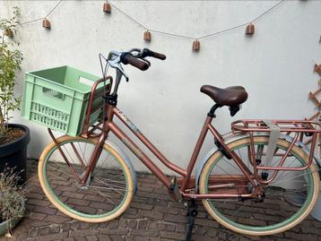 Gazelle Miss Grace 59 beschikbaar voor biedingen