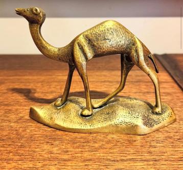Messing kameel, dromedaris beschikbaar voor biedingen