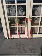 Skistokken - Verschillende Lengtes, Ophalen, Gebruikt, Stokken, Overige merken
