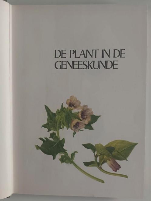 De plant in de geneeskunde  (ISBN 9789025266097), Boeken, Natuur, Gelezen, Bloemen, Planten en Bomen, Ophalen of Verzenden