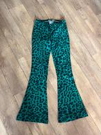 Groene Stieglitz broek, Ophalen of Verzenden, Zo goed als nieuw, Groen, Lang