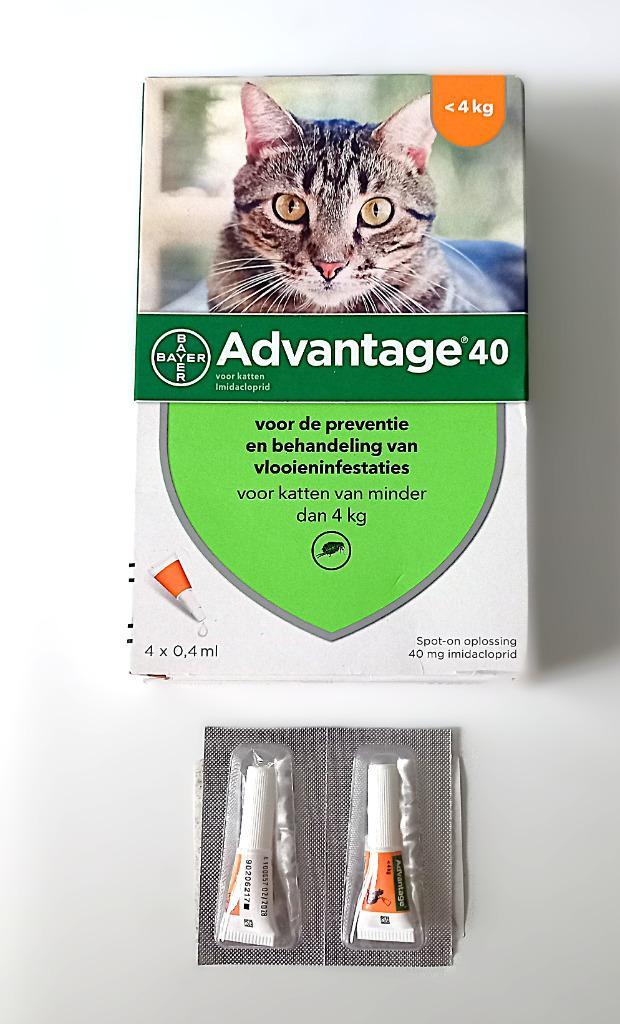 2 pippetten Advantage 40 voor katten tot 4 kg, Dieren en Toebehoren, Katten-accessoires, Ophalen of Verzenden