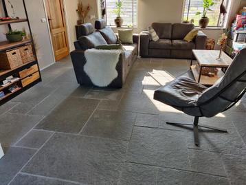 Bourgondische Dallen - Castle Stone Blue rustieke vloeren beschikbaar voor biedingen