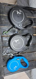 3x rolriem, Ophalen, Zo goed als nieuw, Hondenriem