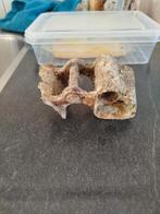 Vondst gedeelte Duitse verrekijker, Ophalen of Verzenden, Duitsland, Embleem of Badge