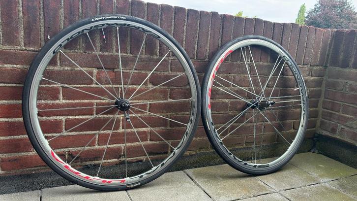 Campagnolo Shamal wheels (Campa racefiets wielen), Fietsen en Brommers, Fietsonderdelen, Gebruikt, Racefiets, Wiel, Ophalen