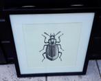 Zwarte lijst met tor print, Ophalen, Zo goed als nieuw, Minder dan 50 cm, Minder dan 50 cm