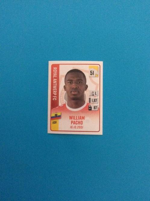 Panini Sticker William Pacho - Antwerp - Pro League 2022-23, Verzamelen, Stickers, Nieuw, Overige typen, Verzenden