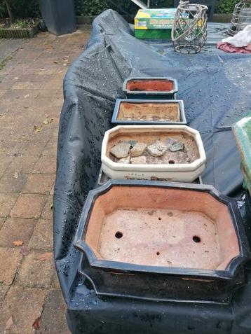Diverse Bonsai Schalen - Mooie Collectie! beschikbaar voor biedingen