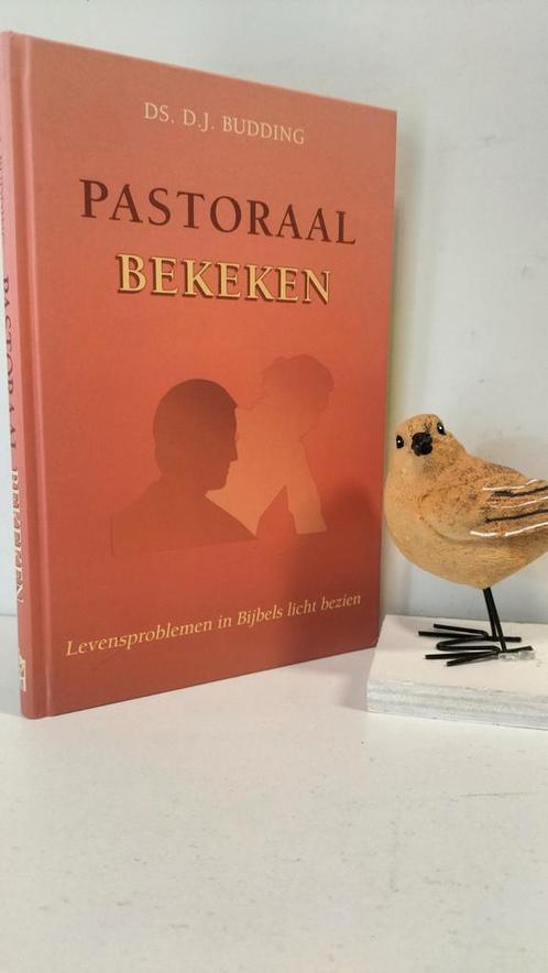 Budding, Ds. D.J.; Pastoraal bekeken, Boeken, Godsdienst en Theologie, Gelezen, Christendom | Protestants, Ophalen of Verzenden