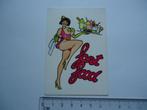 sticker oud Pinup strip fastfood retro pin up pop art fanta, Verzenden, Zo goed als nieuw, Bedrijf of Vereniging