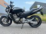Honda Hornet cb 600, Motoren, Motoren | Honda, Bedrijf, Naked bike