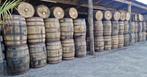 Partij whiskyvaten 190 liter - goede kwaliteit - eikenhout, 150 liter of meer, Ophalen, Nieuw, Hout