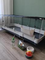 Cavia/konijnen kooi, Kooi, Konijn, Ophalen, Minder dan 60 cm