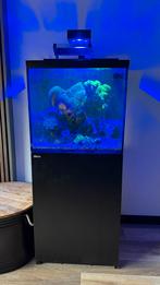 Red Sea 170 zeeaquarium, Dieren en Toebehoren, Ophalen, Zo goed als nieuw, Leeg aquarium