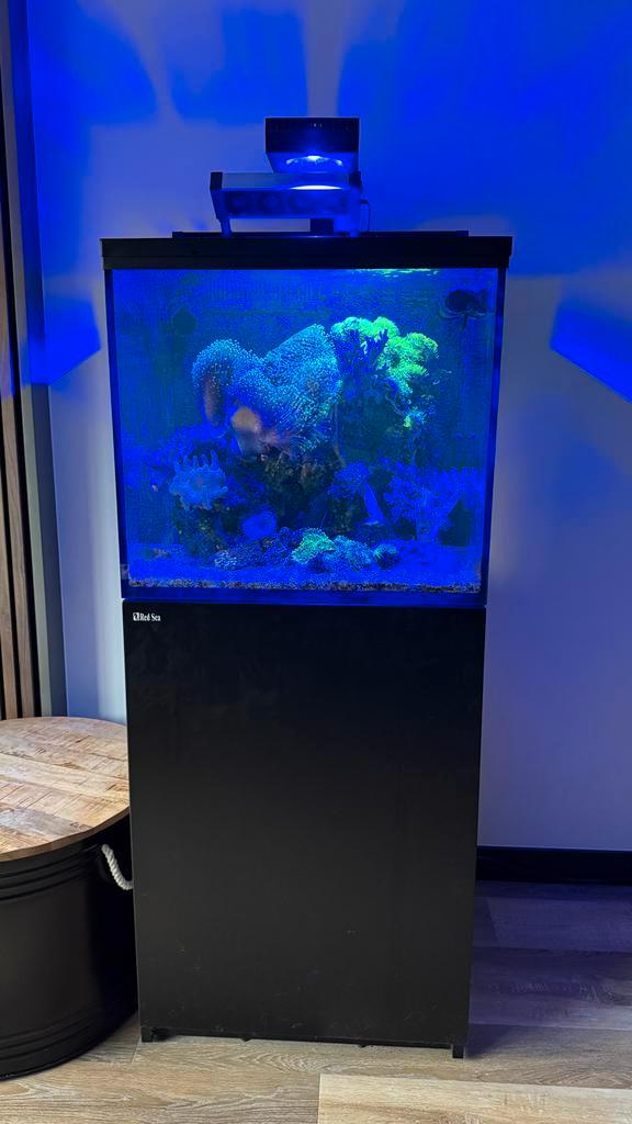 Red Sea 170 zeeaquarium, Dieren en Toebehoren, Vissen | Aquaria en Toebehoren, Zo goed als nieuw, Leeg aquarium, Ophalen