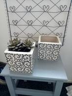 Wit/zwart bloempotten, Steen, Minder dan 30 cm, Minder dan 60 cm, Vierkant