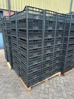 Kunststof kratten l 50x40x20 l 550 stuks l netjes l