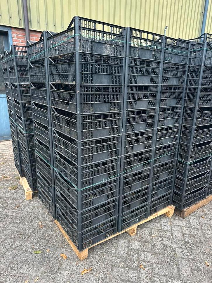 Kunststof kratten l 50x40x20 l 200 stuks l netjes l, Doe-het-zelf en Verbouw, Kratten en Dozen, Zo goed als nieuw, Krat, 50 tot 75 cm