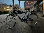 Perfecte Pegasus fiets (with springs against bumps), Overige merken, Versnellingen, Nieuw, 49 tot 53 cm