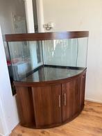 Aquarium, merk Juwel, Dieren en Toebehoren, Ophalen, Gebruikt, Leeg aquarium