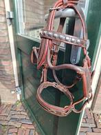 Men hoofdstel mini shet, Dieren en Toebehoren, Ophalen of Verzenden