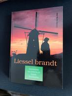 Liessel brand Geschiedenis van Liessel in de W.O .2, Boeken, Geschiedenis | Stad en Regio, Ophalen of Verzenden, Zo goed als nieuw