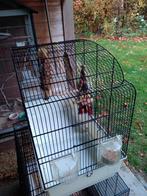 Vogel kooi - Ferplast., Dieren en Toebehoren, Ophalen, Gebruikt, Metaal, Vogelkooi