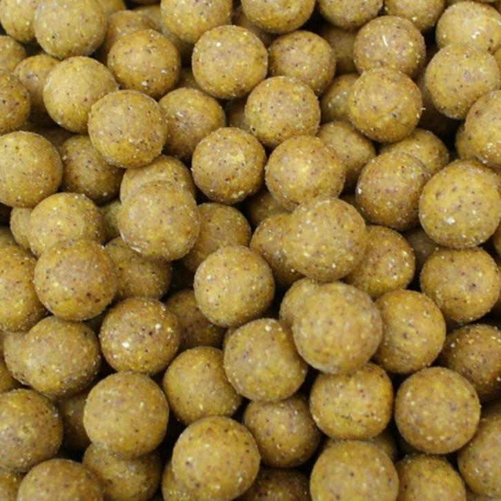Scopex Boilies 10kg - Karper aas, Watersport en Boten, Hengelsport | Karpervissen, Nieuw, Overige typen, Verzenden