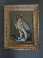 cornelis le Mair . origineel roofvogel paneel ., Antiek en Kunst, Ophalen