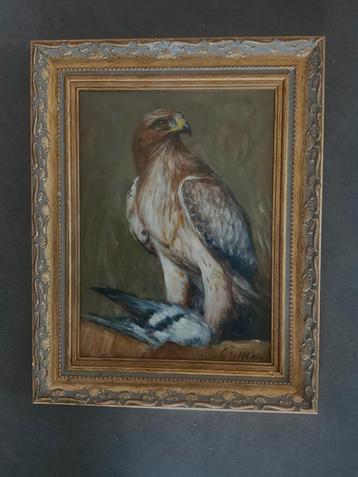 cornelis le Mair . origineel roofvogel paneel . beschikbaar voor biedingen