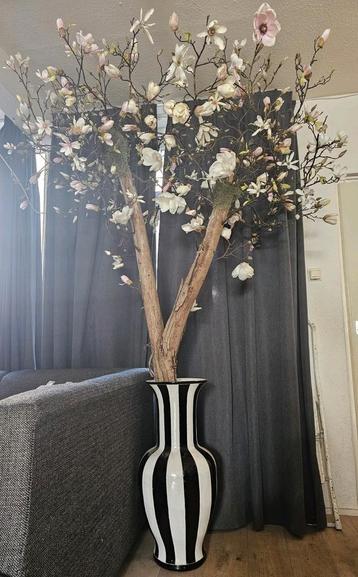 XXL zijden magnolia bloesemboom oa Silk-ka Silka  beschikbaar voor biedingen