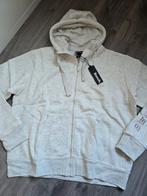 Grijs dames hoodie Bench, maat XXXL, Nieuw (WW4), Ophalen of Verzenden, Nieuw, Maat 46/48 (XL) of groter, Grijs