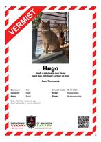 VERMIST!, Contacten en Berichten, Contact kwijt en Opsporing