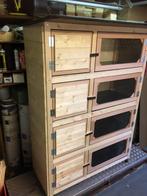 Flat 4 etages, Dieren en Toebehoren, Knaagdieren en Konijnen | Hokken en Kooien, Ophalen, 110 cm of meer, Nieuw, Hamster