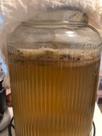 Kombucha scoby met 200ml (biologische) starter vloeistof, Diversen, Ophalen
