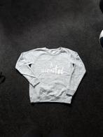 Trui - Bien Bleu maat M, Kleding | Dames, Truien en Vesten, Maat 38/40 (M), Ophalen of Verzenden, Zo goed als nieuw, Grijs