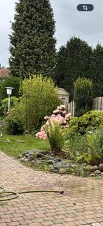 Gratis Klinkers - +/- 500 stuks, Tuin en Terras, Planten | Bomen, Ophalen of Verzenden