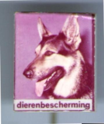 Dierenbescherming plastic speldje ( H_037 ) beschikbaar voor biedingen