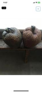 Sierfruit, Ophalen, Nieuw