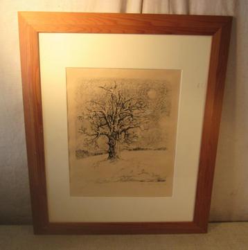 Mooi Oude Gravure 'Oude Kale Boom' - Gesigneerd beschikbaar voor biedingen