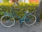 Cortina Roots transport mamafiets. Framemaat 50., Fietsen en Brommers, Fietsen | Dames | Moederfietsen, 2 zitjes, Versnellingen