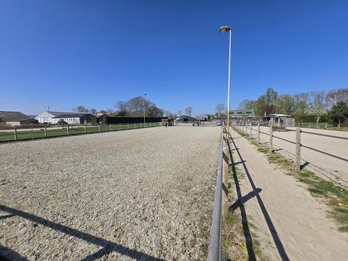 Fijne Pensionstalling paardenstal, Dieren en Toebehoren, Stalling en Weidegang