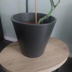 Binnen bloempotten van aardewerk T.E A.B., Tuin en Terras, Bloempotten, Gebruikt, Rond, Binnen, Minder dan 40 cm