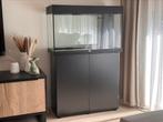 Juwel Aquarium Rio 125 liter 80x35x50cm + kast (zwart), Dieren en Toebehoren, Ophalen, Gebruikt, Leeg aquarium